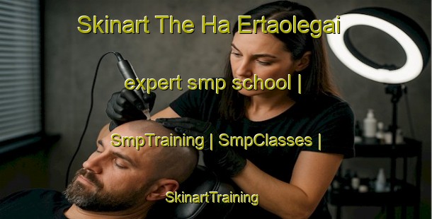 Skinart The Ha Ertaolegai expert smp school | SmpTraining | SmpClasses | SkinartTraining-China